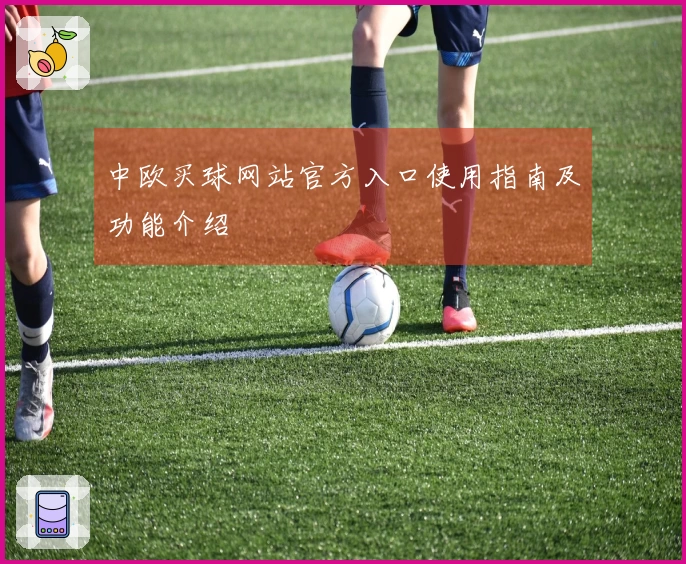 中欧买球网站官方入口使用指南及功能介绍