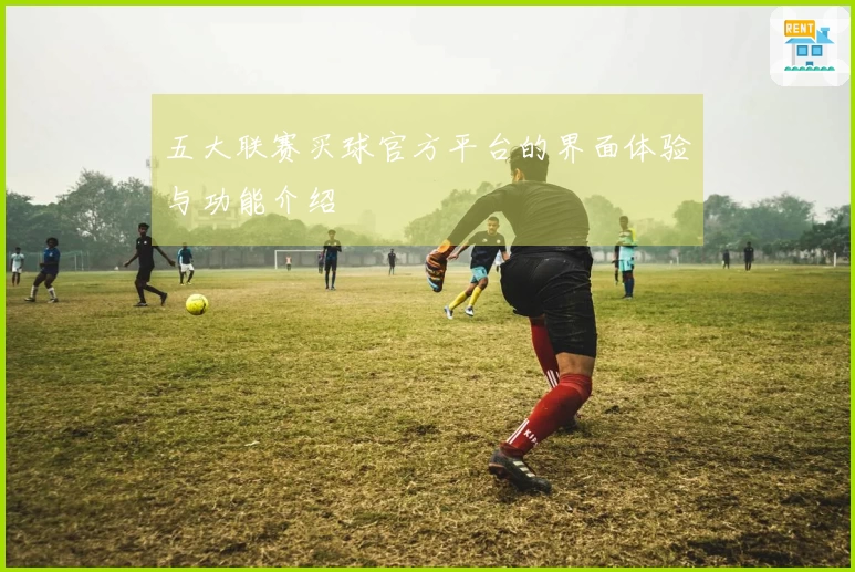 五大联赛买球官方平台的界面体验与功能介绍