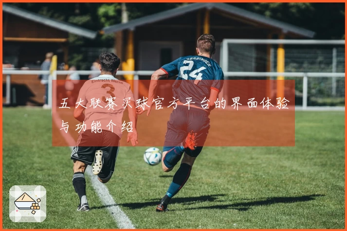 五大联赛买球官方平台的界面体验与功能介绍